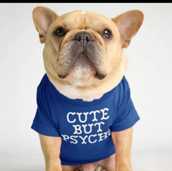 Other - Fall 🎃Doggy lovers " Cute but Psycho shirt